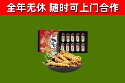 合作回收冬虫夏草价格