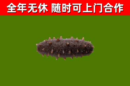合作烟酒回收干海参.jpg